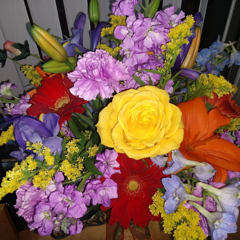 Meet your Posher, Terra